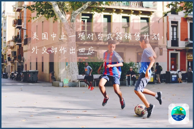 美国中止一项对台武器销售计划,外交部作出回应